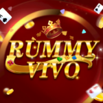 Rummy Vivo App