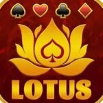 Teen Patti Lotus